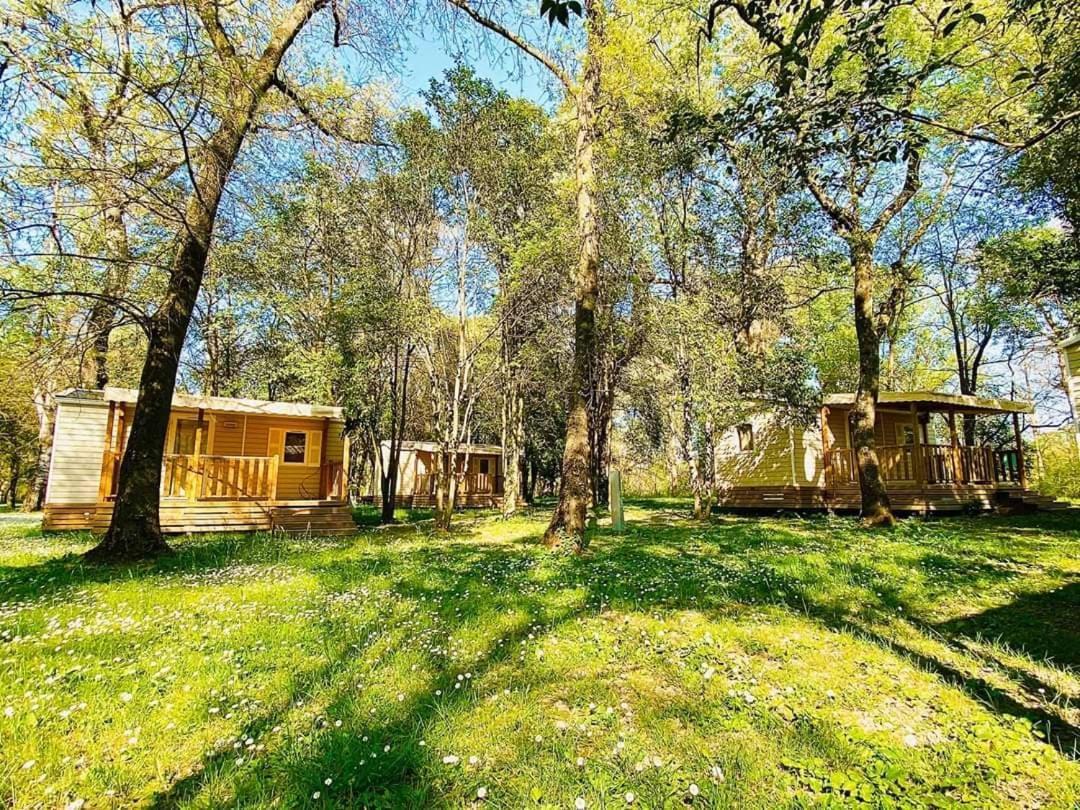 Camping Du Lion Bourg-Saint-Andéol Eksteriør billede